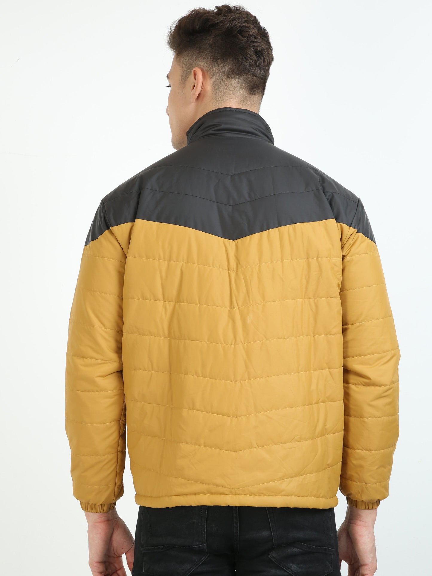 Men Golden-Black Cut & Sew Jacket