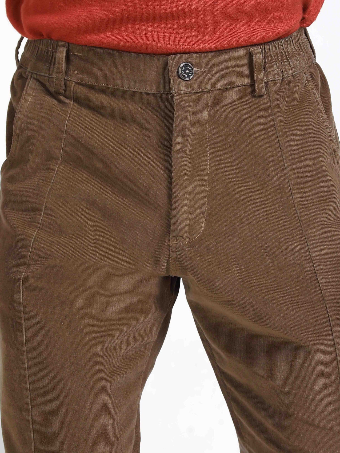 Premium Corduroy Pant In Brown