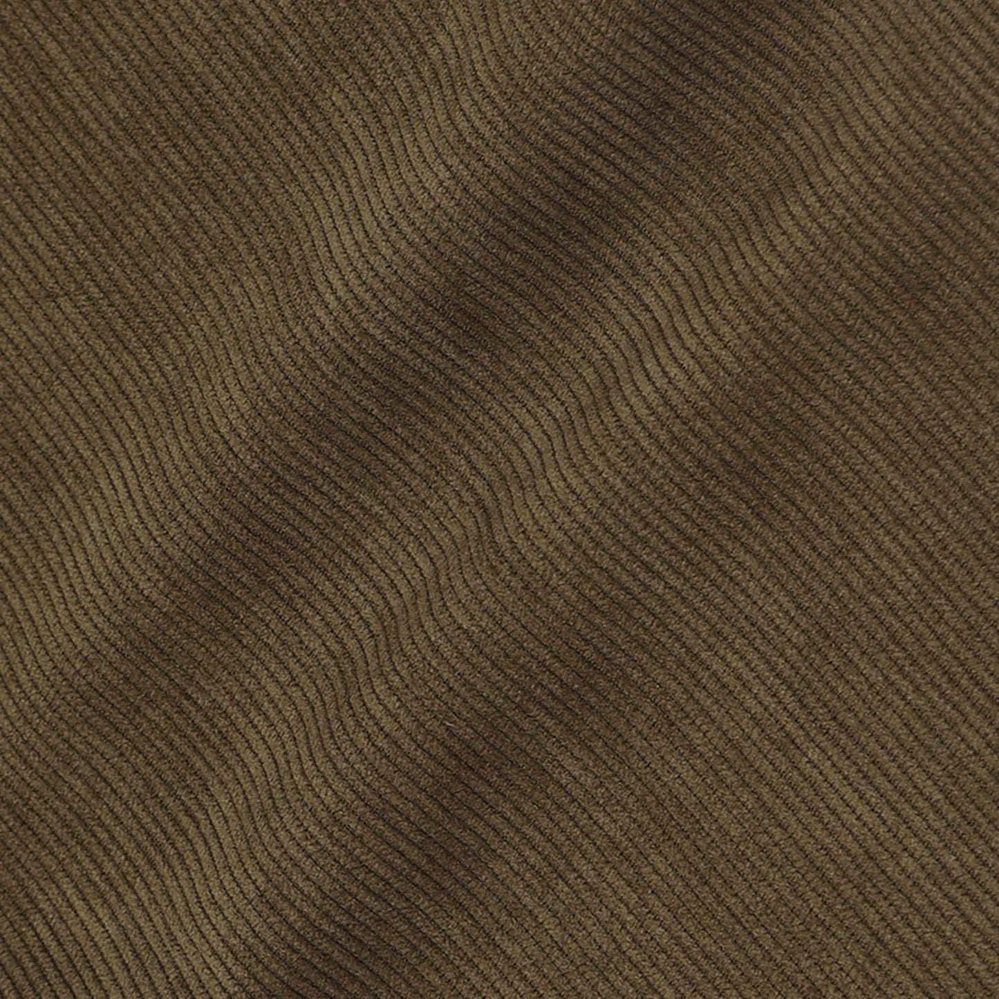 Statement Corduroy Oak Pant