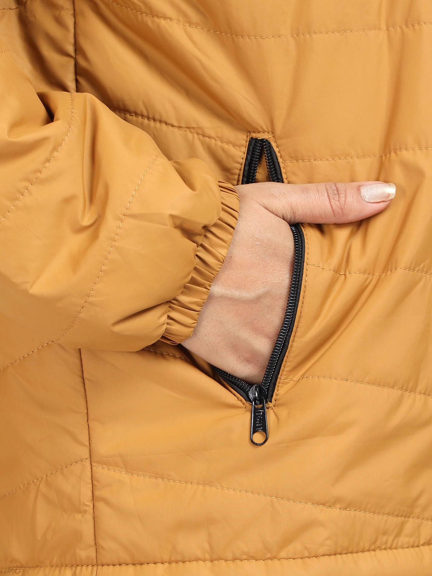 Women Golden-Black Cut & Sew Jacket