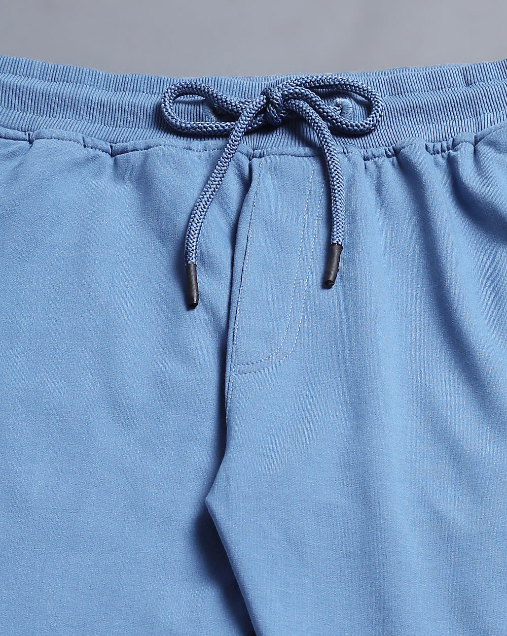 Sky Blue Solid Active Pant