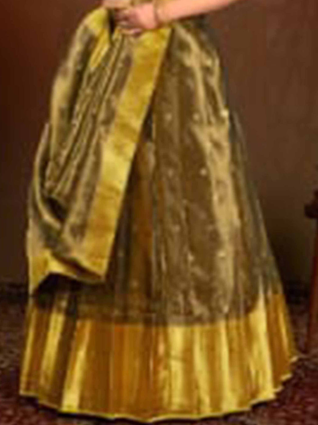 Silver Golden Tissue Lehenga for Women