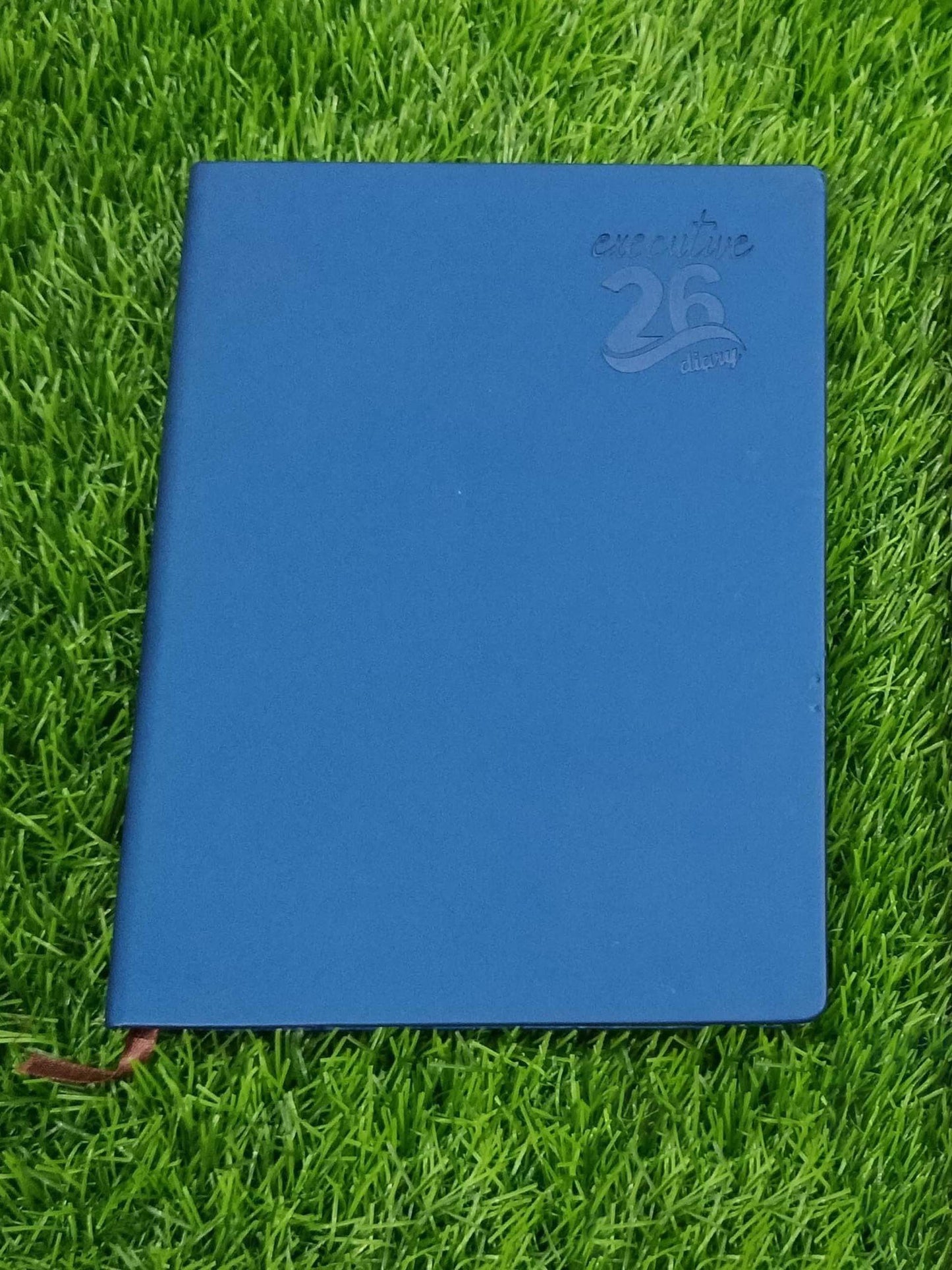 2026 Simple Blue Colour Planner Diary