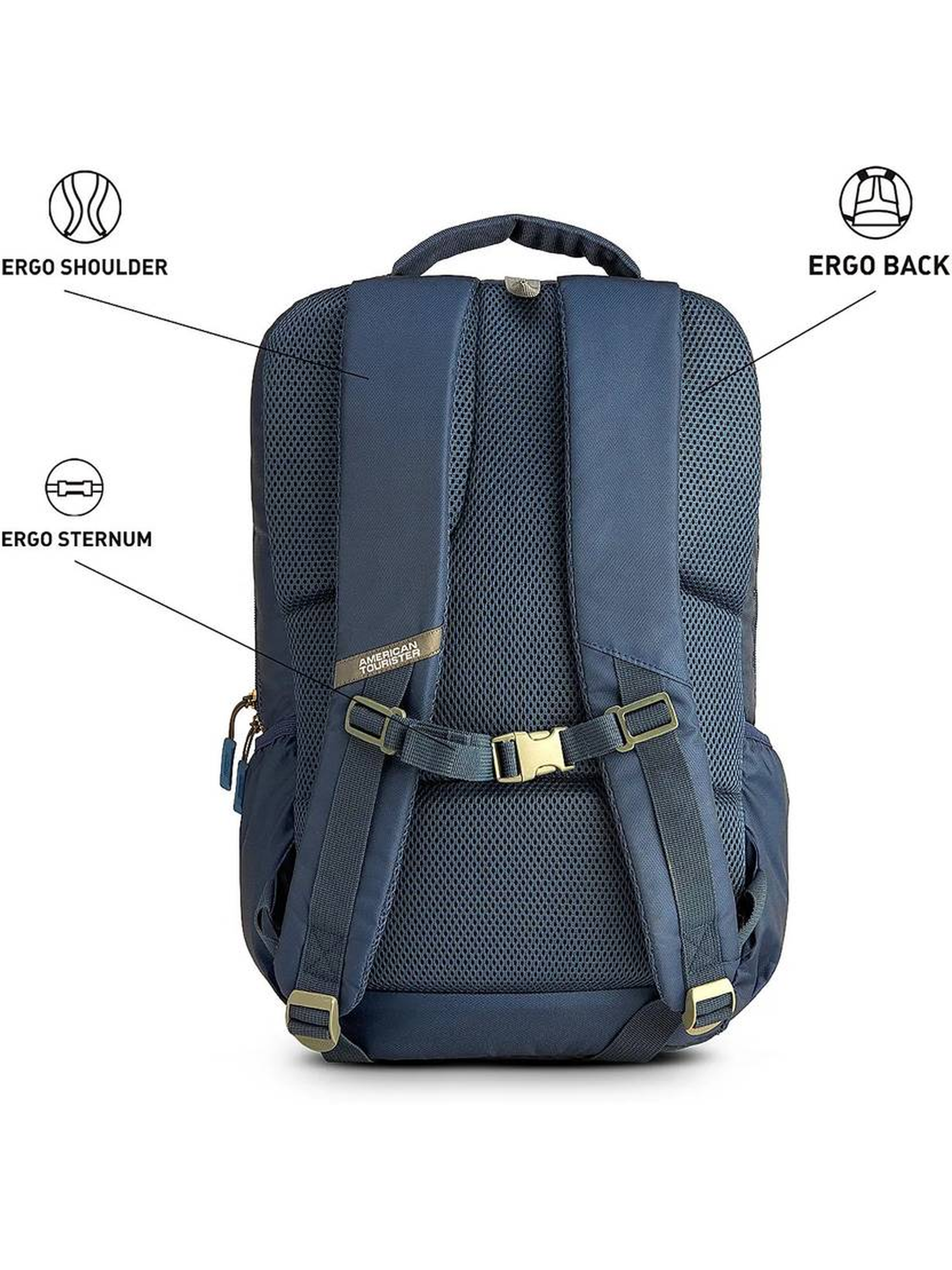 American Tourister SEST Blue Laptop Backpack for Men